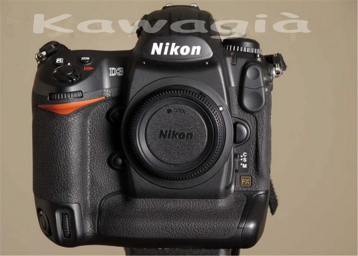 Nikond31_951384_l.jpg