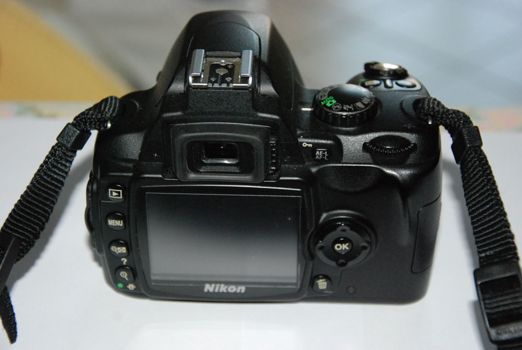 Ninon D40X0001.JPG