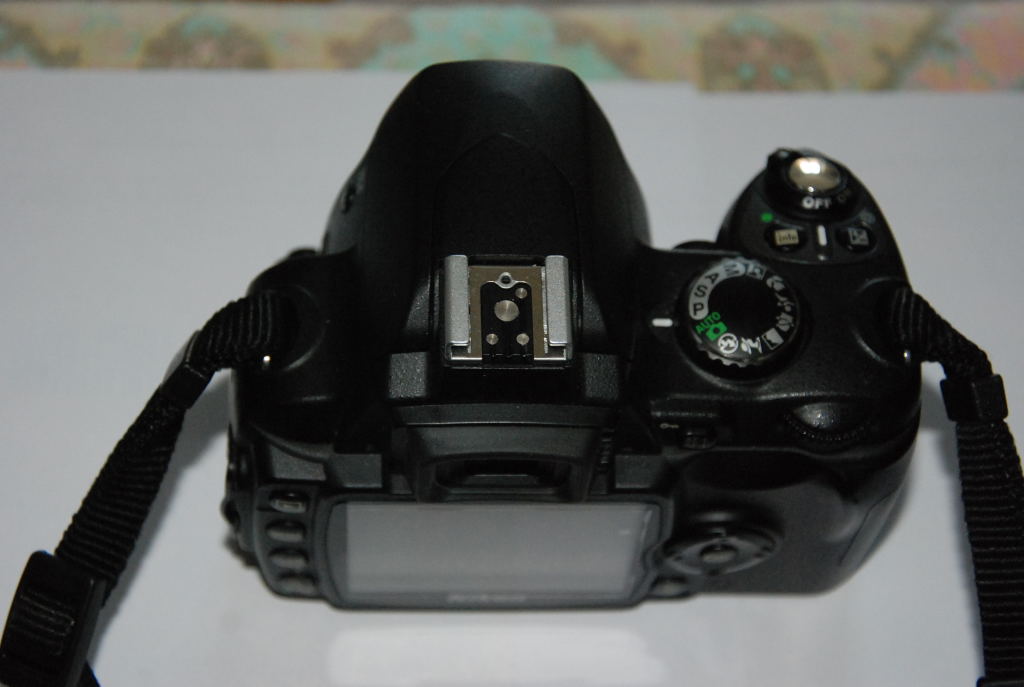 Ninon D40X0002.JPG