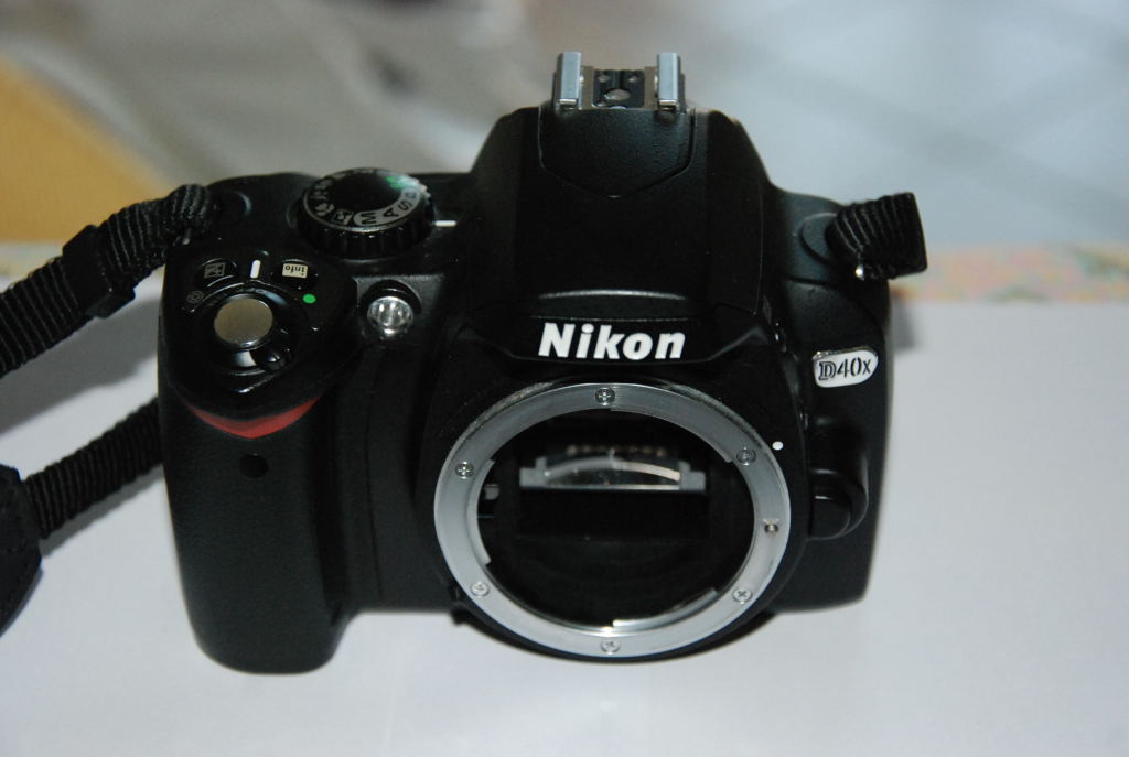 Ninon D40X0003.JPG