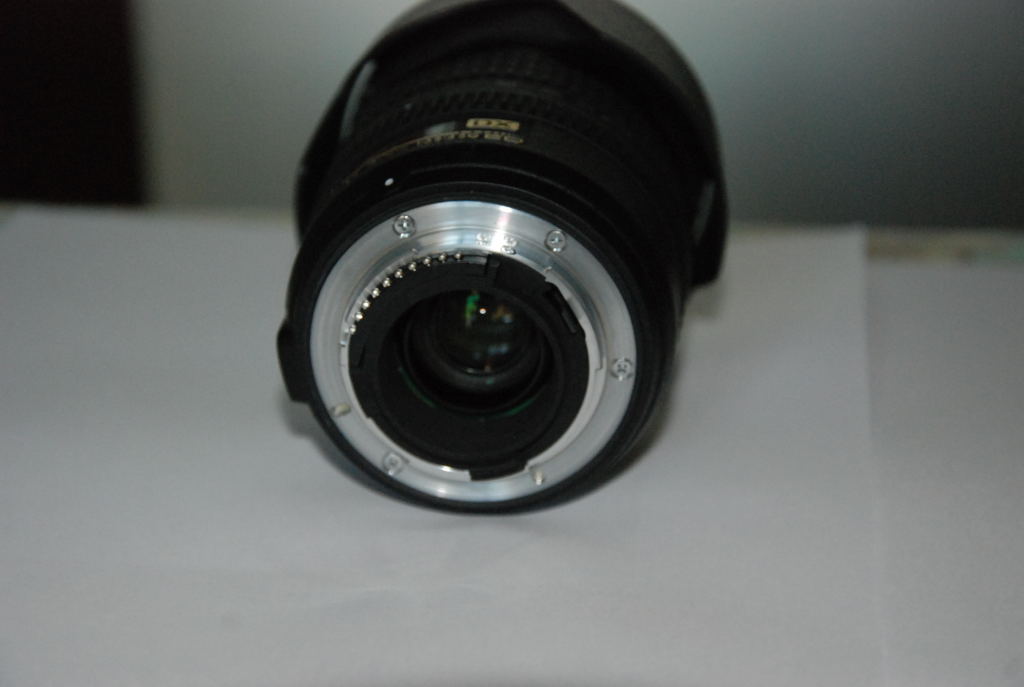 Ninon D40X0006.JPG