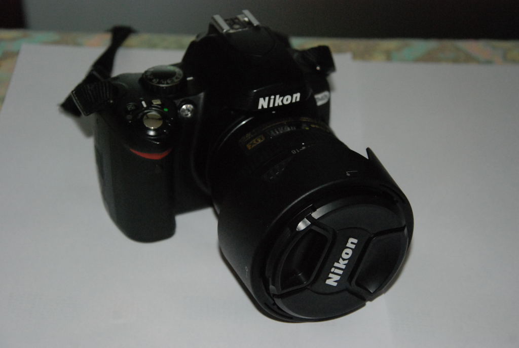 Ninon D40X0007.JPG