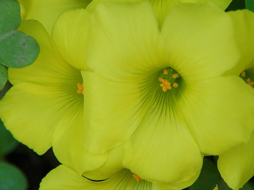 Nk1034867496-CROP.jpg