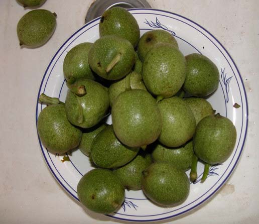 noci1.jpg