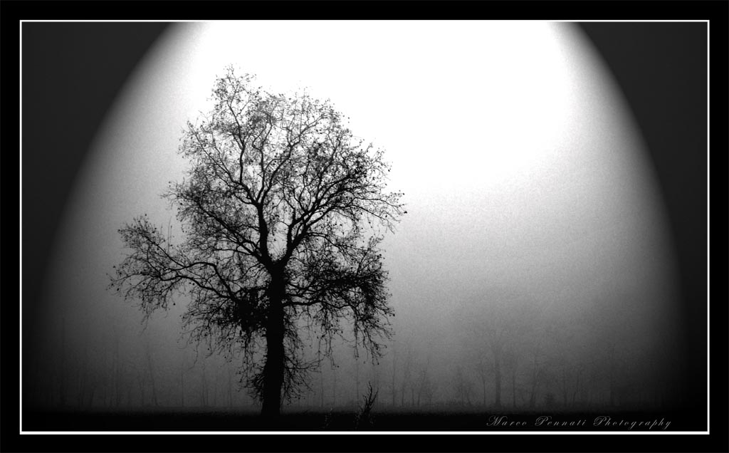 noir.jpg
