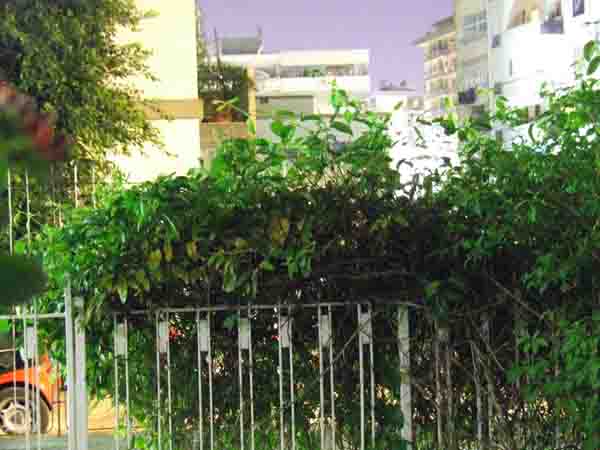 notte1.jpg