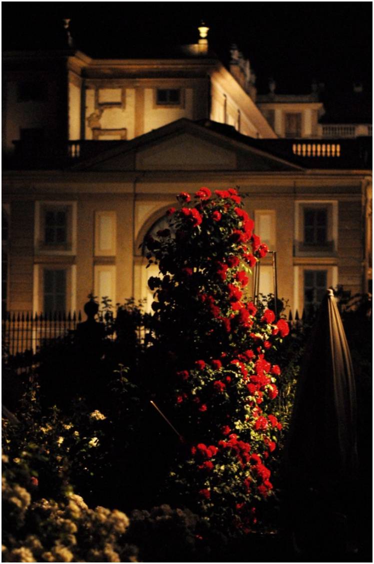 notturno villa monza.jpg