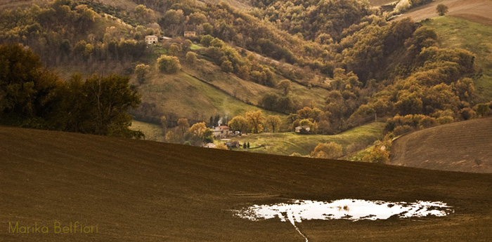 novembre_524_02.jpg