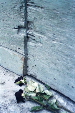 nuovo-1.jpg