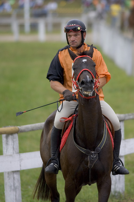 NZ5S0460.jpg