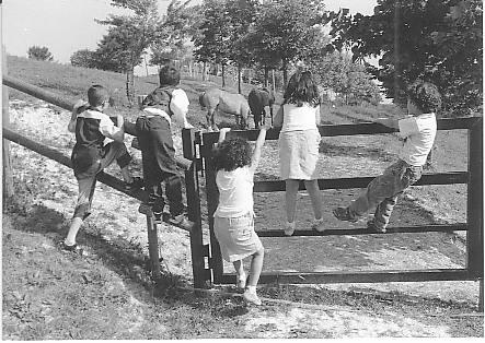 Occhi di bimbi.jpg