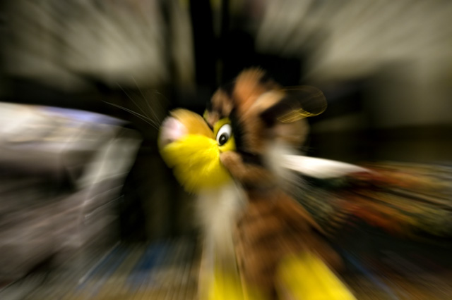 occhio_PW.jpg