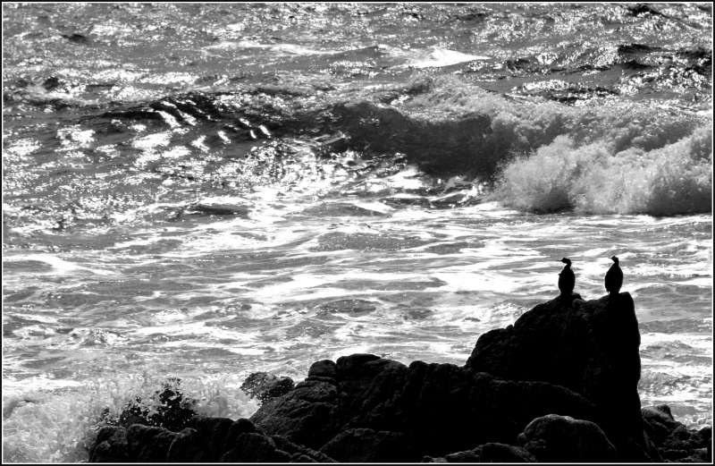 OceanoB-W.jpg