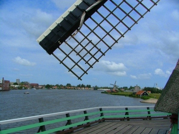 olanda.jpg