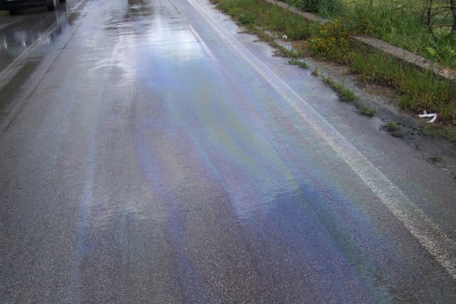 olio 1.jpg