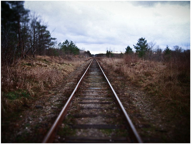 OLYMPUS-M.14-42mm-F3.5-5.jpg