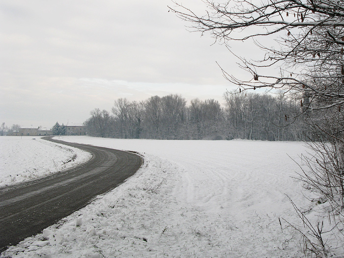 Olza-strada-IMG_6089-rid-no-albero.jpg