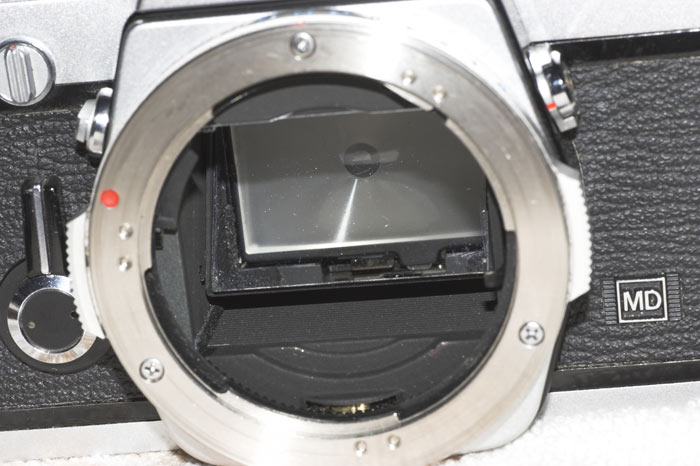 OM1spec..jpg