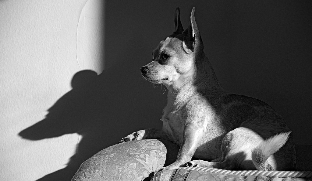 ombra2ritbn.jpg