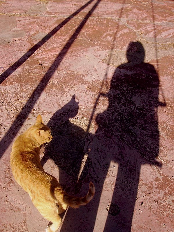 ombra.jpg