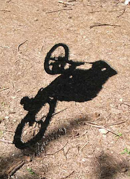 ombra mtbike3.jpg