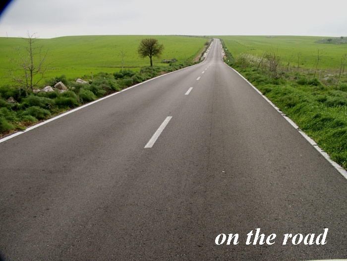 on the road.jpg