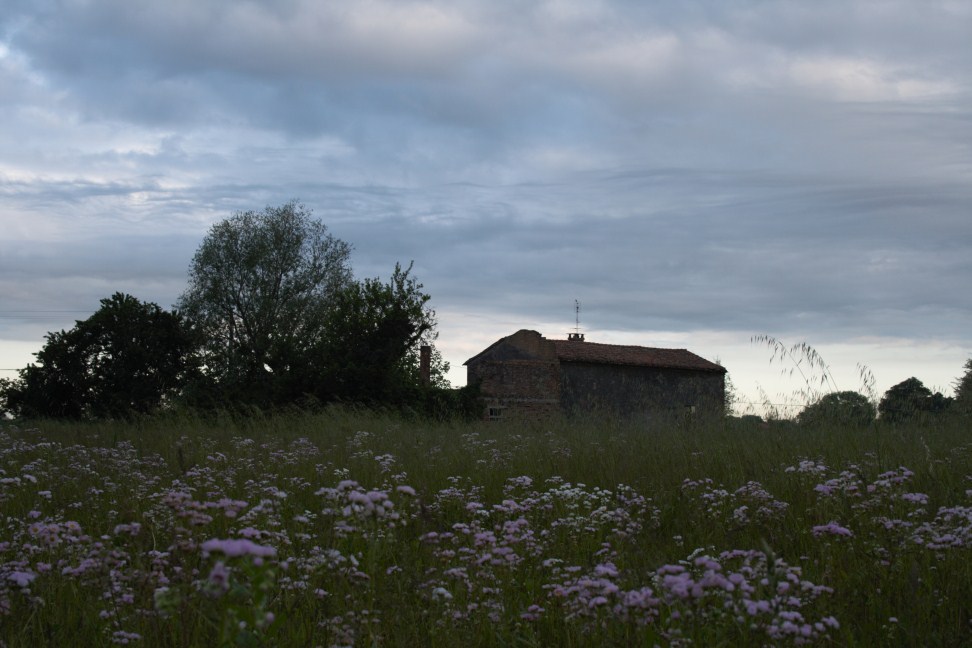 originale (2) (972 x 648).jpg
