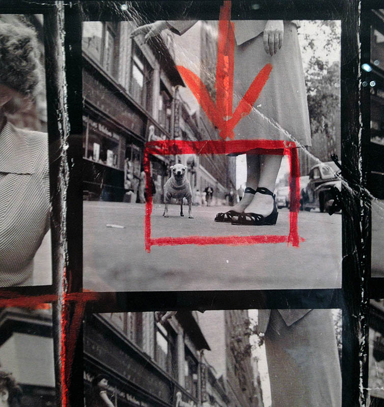 originale_erwitt.jpg