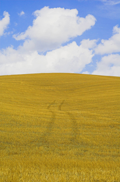 Orme-send-2.jpg