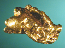 Oro.jpg