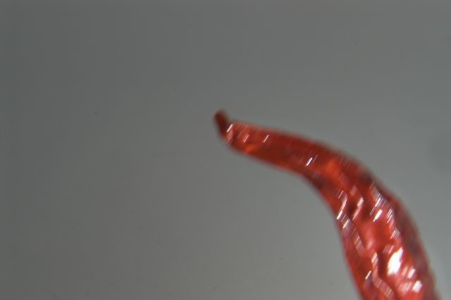 orrore.jpg