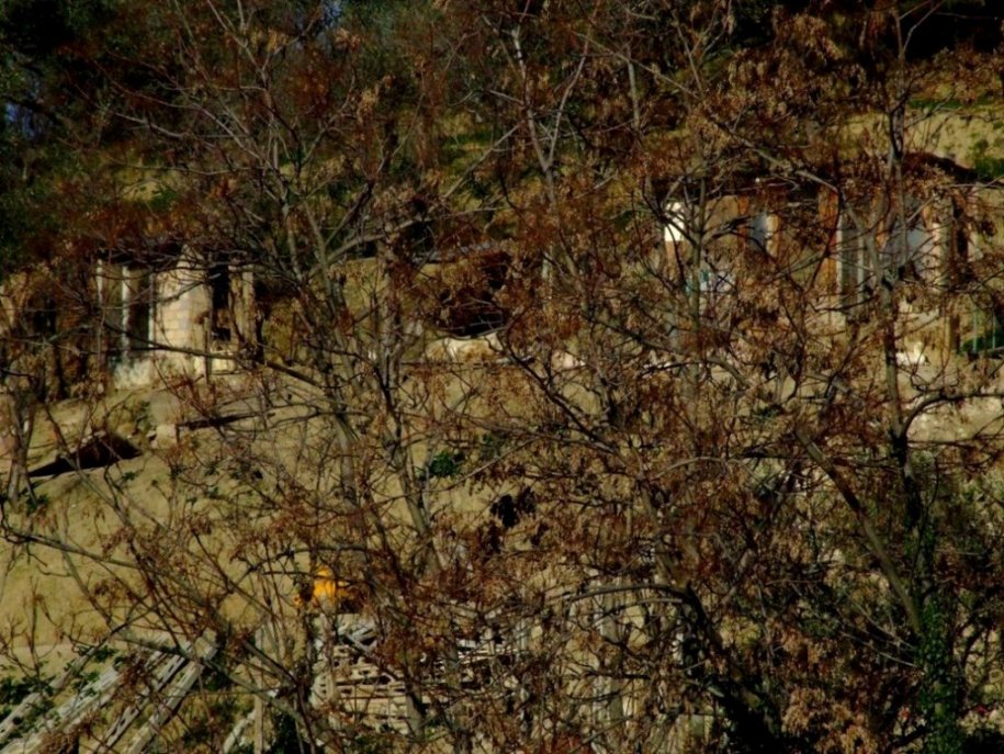 orto 11.jpg