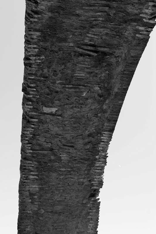 Ostia 6.jpg