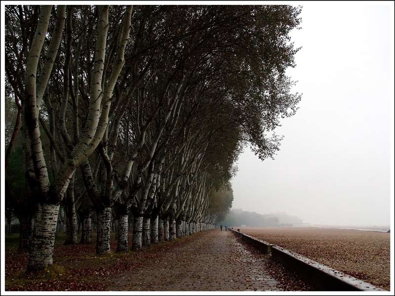 ottobre.jpg