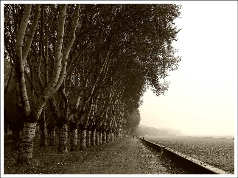 ottobre_seppia.jpg