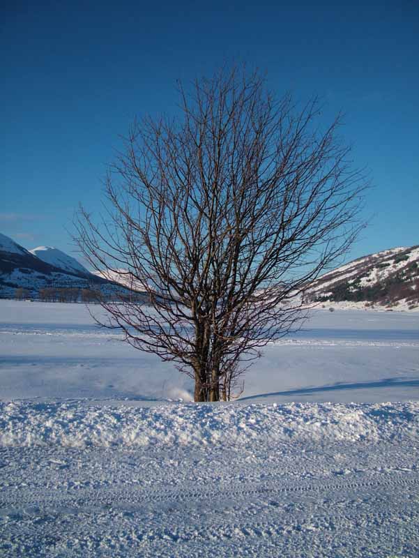 ovindoli.jpg