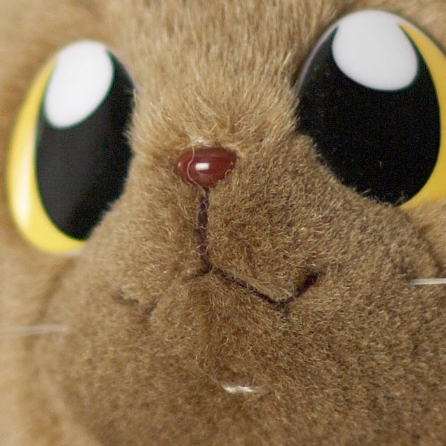 p-1.2-crop.jpg