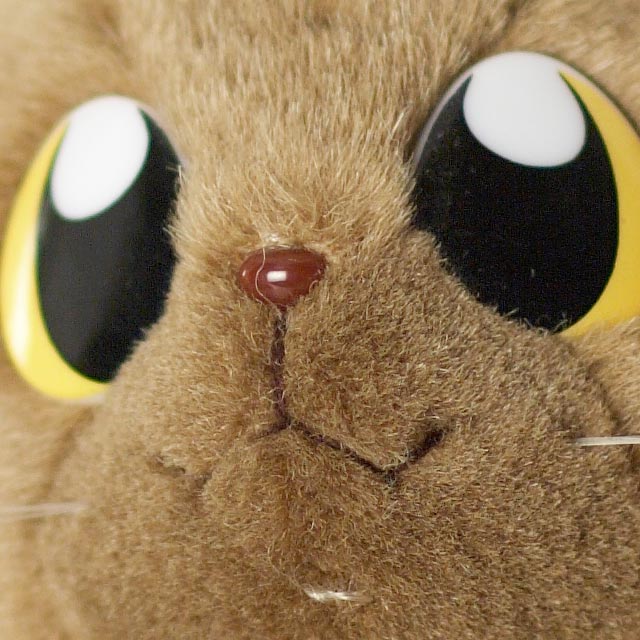p-1.8-crop.jpg