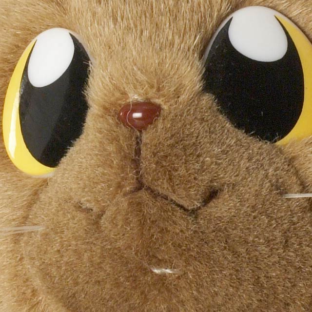 p-16-crop.jpg