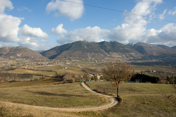 P-3.jpg