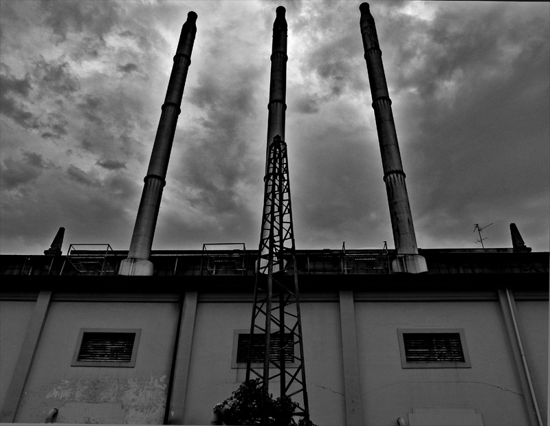 p.-s.-si-d.-verso-il-c..jpg