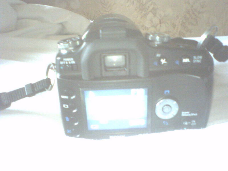 P06-01-07_08.57_ridimensionare.jpg
