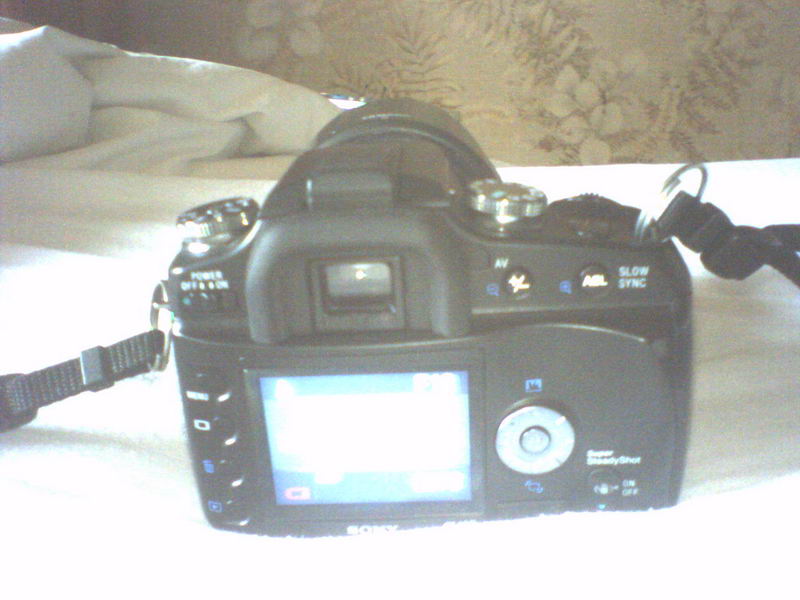 P06-01-07_08.58_ridimensionare.jpg