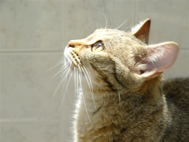 P1000020 (Small).JPG