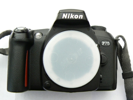 P1000039.JPG