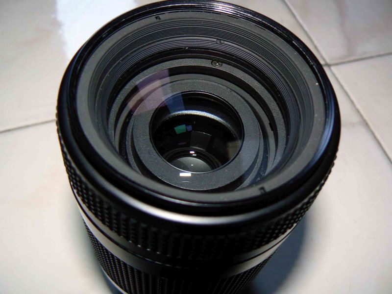 P1000077.JPG