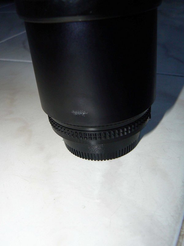 p1000082_705.jpg