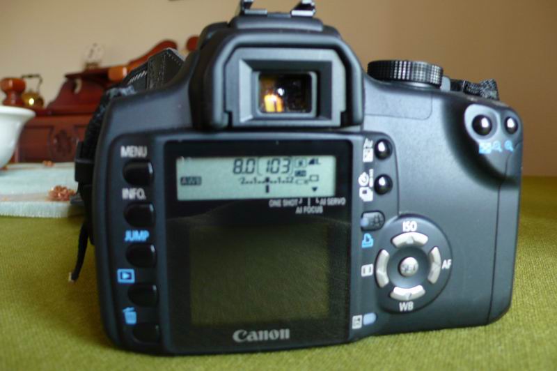 P1000119.JPG