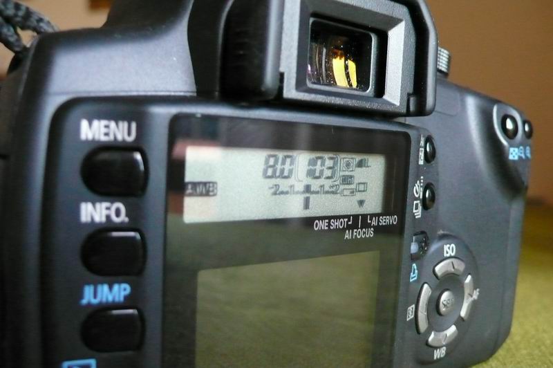 P1000121.JPG