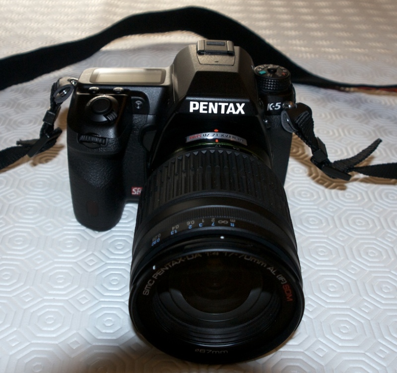 P1000123.jpg
